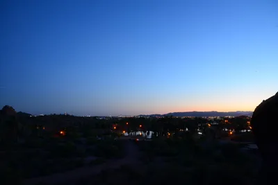 DSC_1499 (Large).JPG